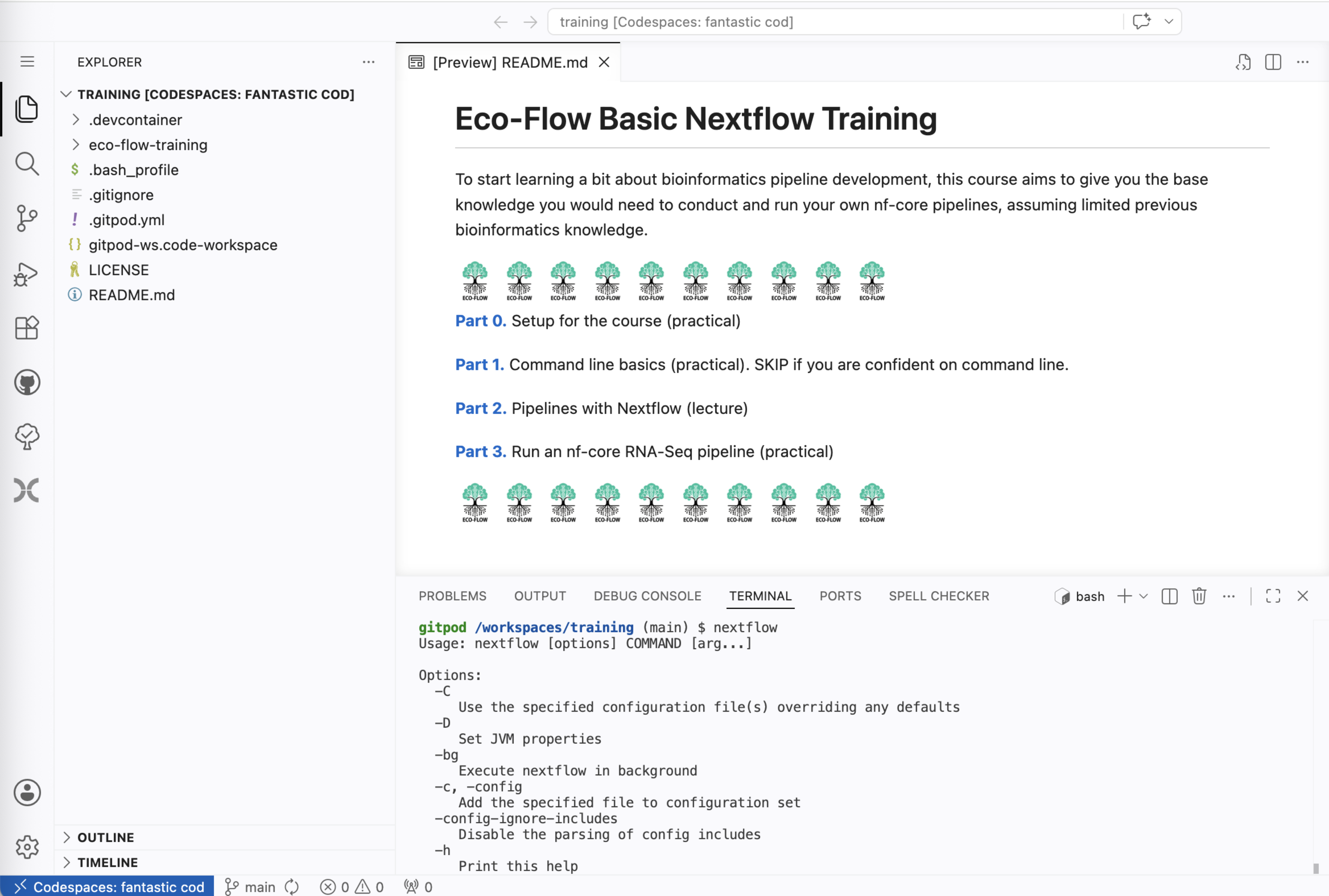The Codespaces VS Code environment open in a browser