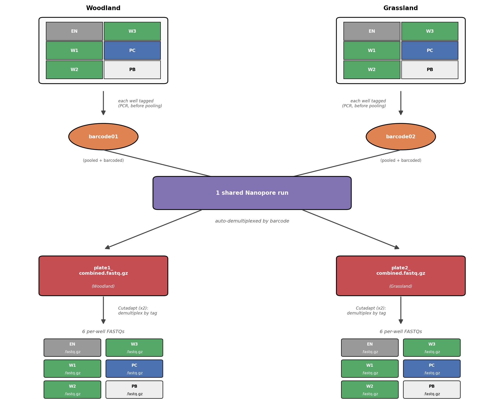 Experiment design: wasps and controls laid out on woodland/grassland plates, tagged by well during PCR, pooled and barcoded per plate, sequenced together on one shared Nanopore run, then demultiplexed first by barcode (sequencer) and then by tag (Cutadapt) back into one FASTQ per well