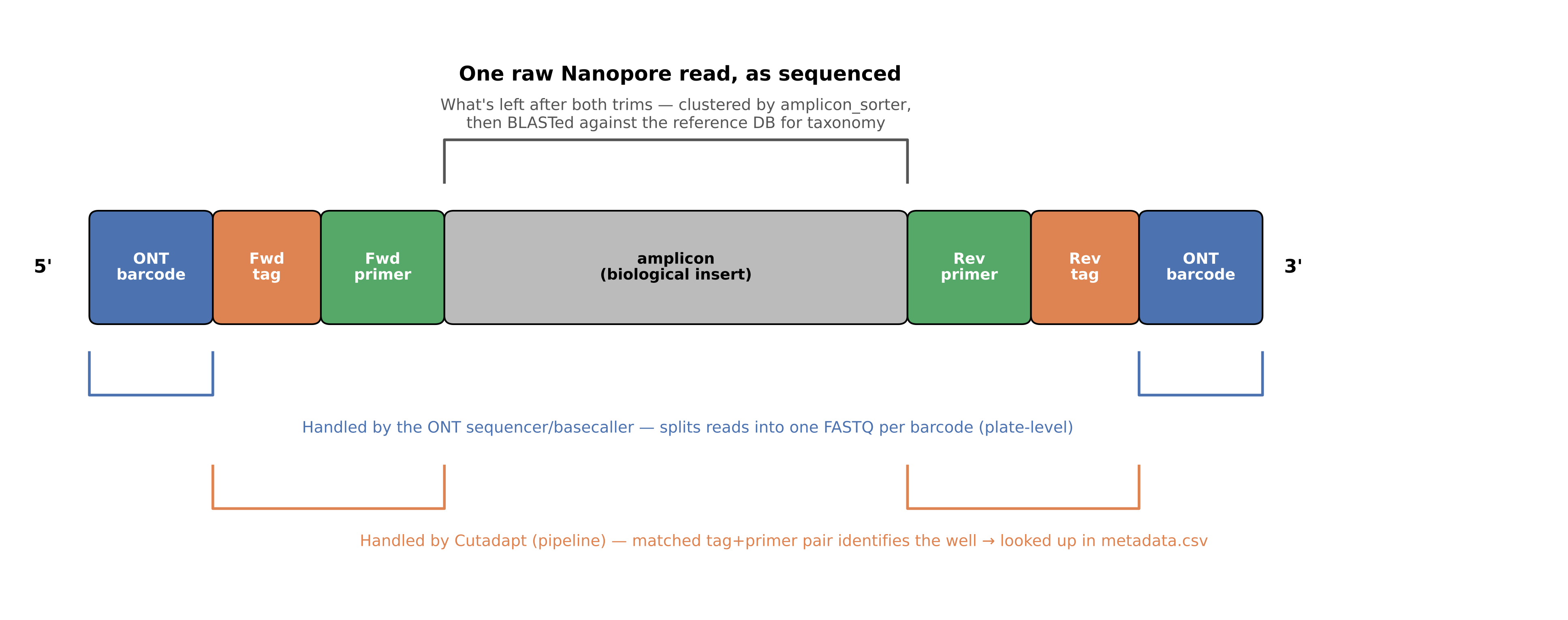Read structure: ONT barcode, forward tag+primer, amplicon, reverse tag+primer, ONT barcode